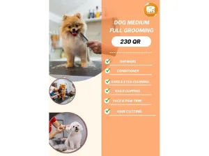 Dog Grooming Medium Full