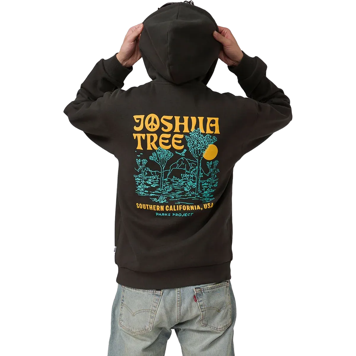 Joshua Tree DIY Hoodie