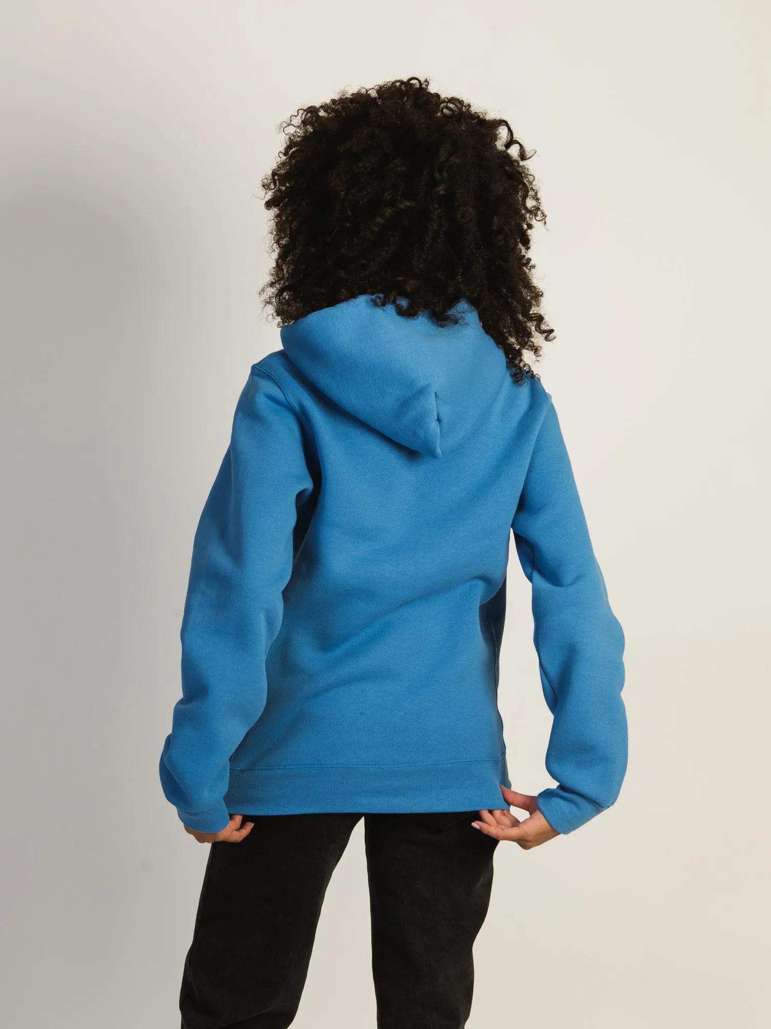 NFL DETROIT LIONS LOGO PULLOVER HOODIE