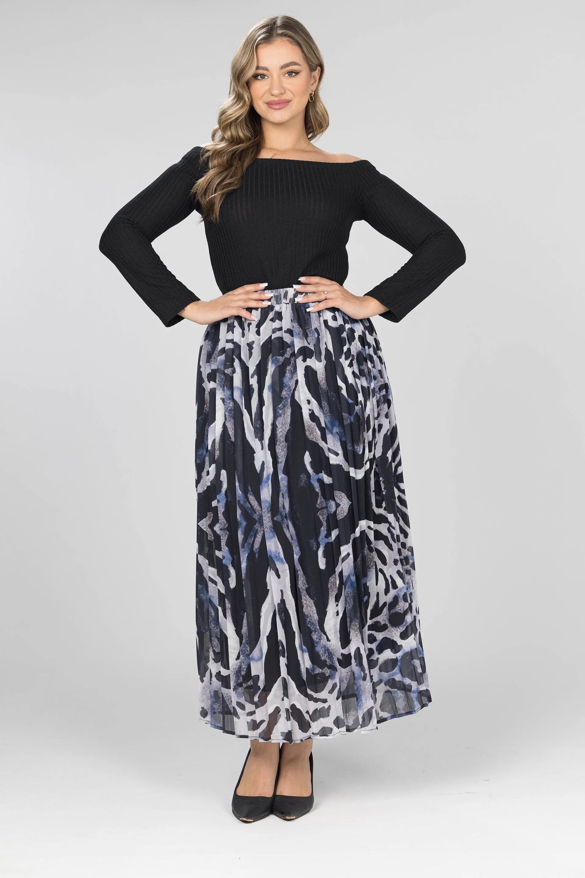 Wild Pleated Chiffon Skirt