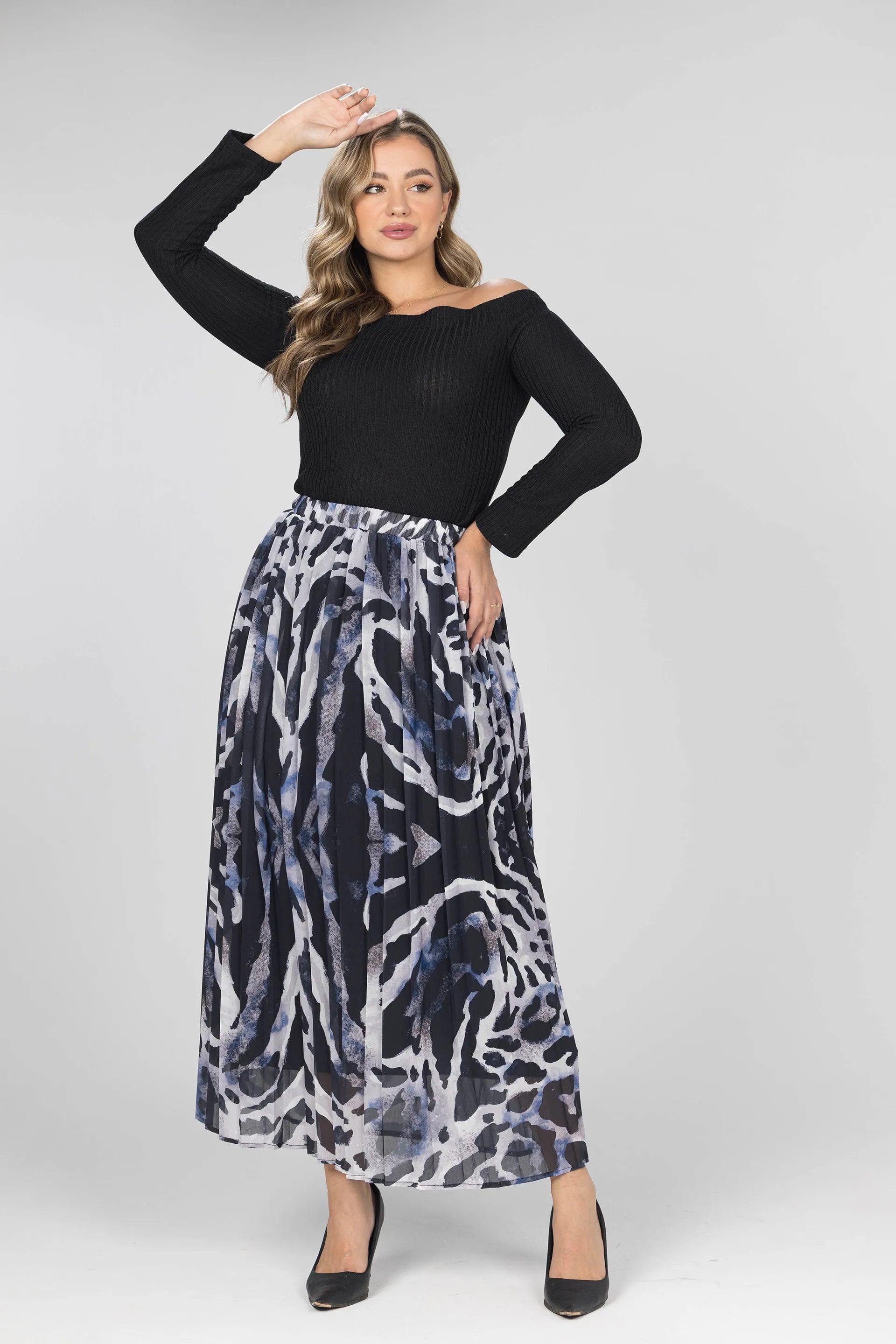 Wild Pleated Chiffon Skirt